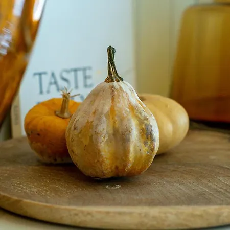 V008 - Estrella De Relja - *